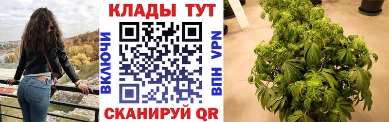 Наркотические вещества Славгород Alpha PVP  Гашиш  МАРИХУАНА 