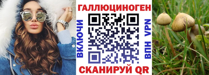 блэк спрут как зайти  маркетплейс телеграм  Галлюциногенные грибы Cubensis  Славгород 